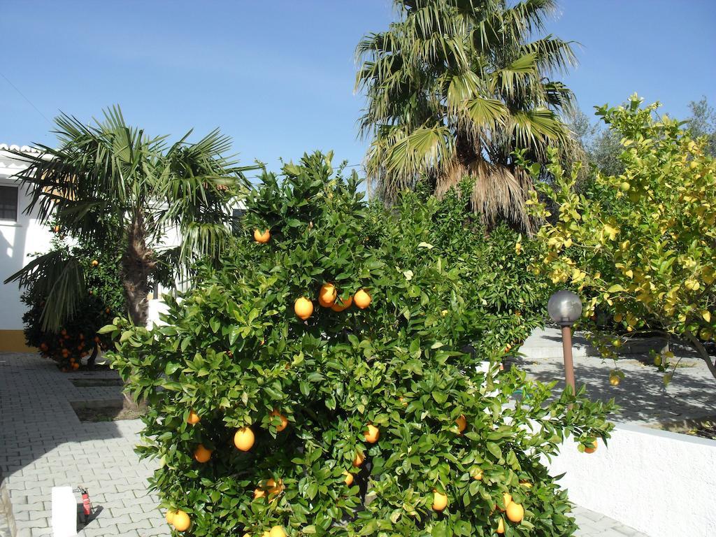 Casa De Campo Quinta Sao Jorge Villa Reguengos de Monsaraz Exteriör bild